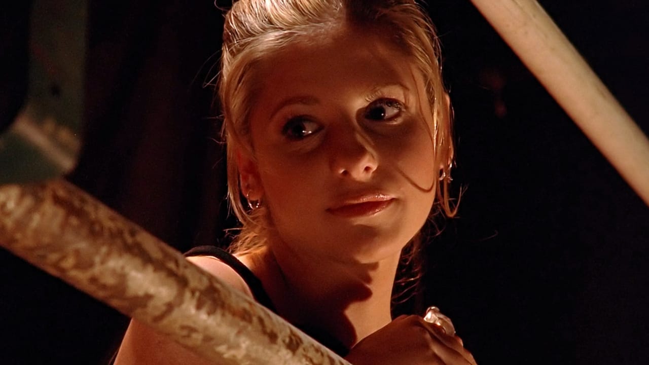 Buffy Contre Les Vampires - Saison 1 (1997) 