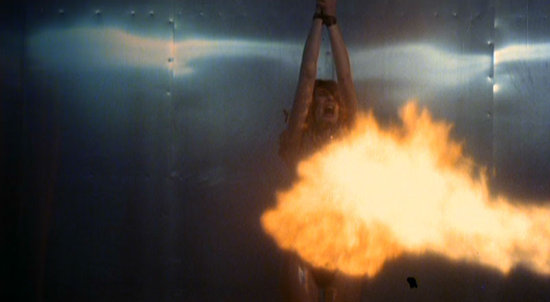Don't Go In The House de Joseph Ellison - 1979 / Horreur