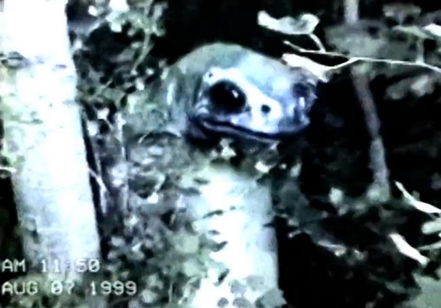 Frogman (2023) 