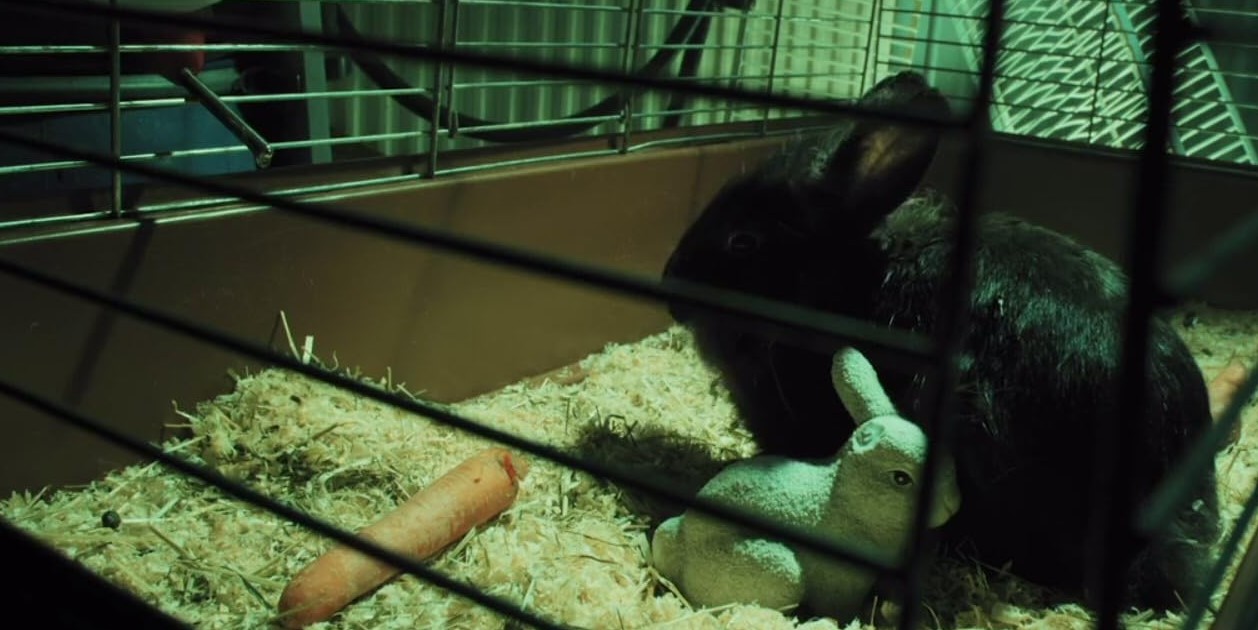 Bunny - Opéation Pussy (2015) 