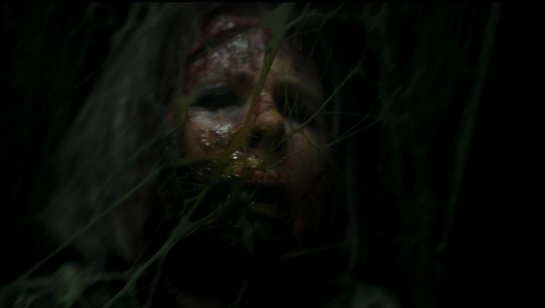 Sting (2024) 
