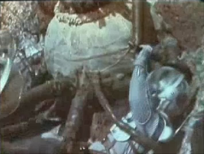 Voyage Sur La Planète Préhistorique (1965)