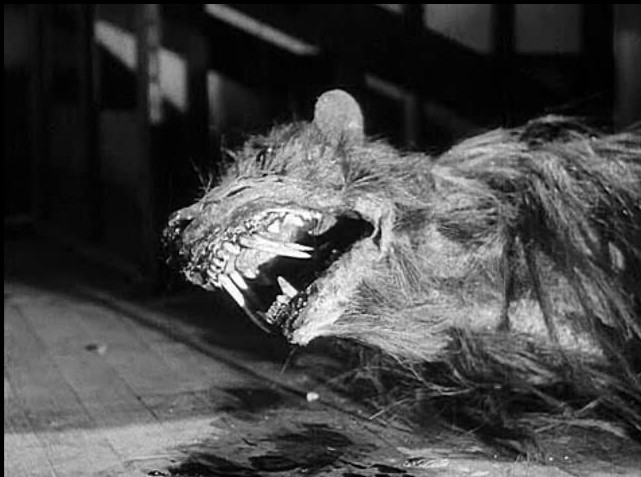 Les Musaraignes Tueuses (1959)