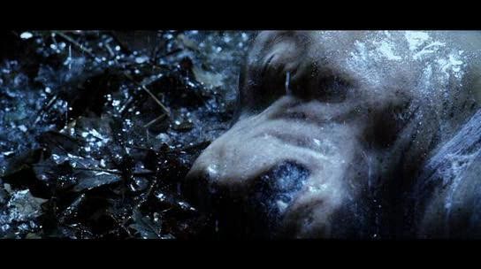 L'Enfer Des Loups (2004)