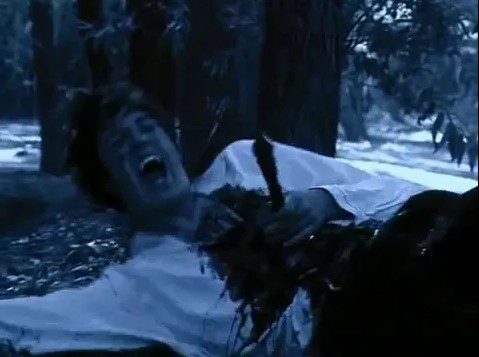 Van Helsing 2 - Dracula Contre Les Vampires (2005) 