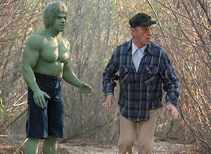 Hulk Revient ! (1978)