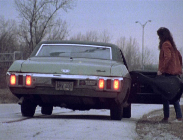 Henry, Portrait D'un Sérial Killer (1986) 
