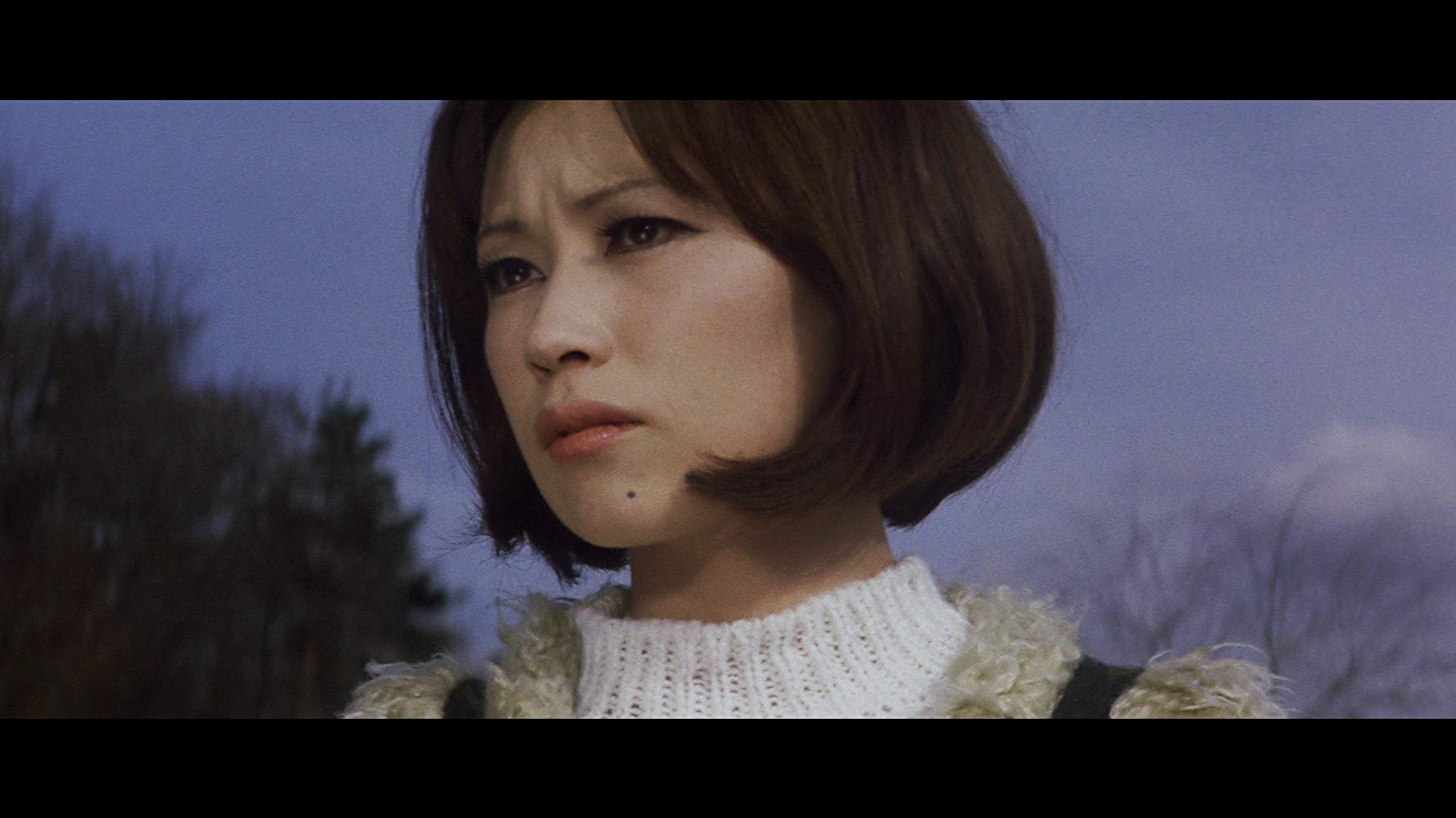 Le Lac de Dracula (1971)  