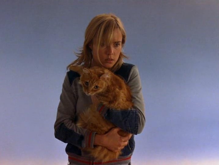 Visitors (2003) 