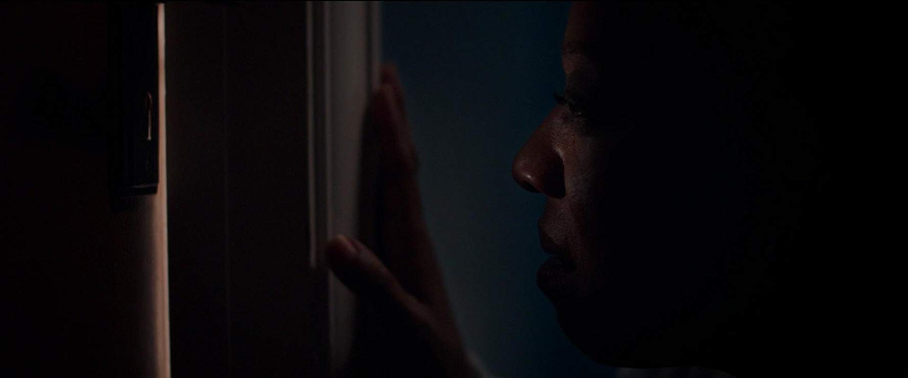 In Fabric (2018)