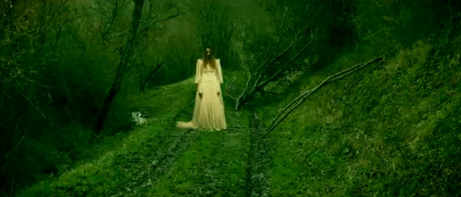 8 (2017)