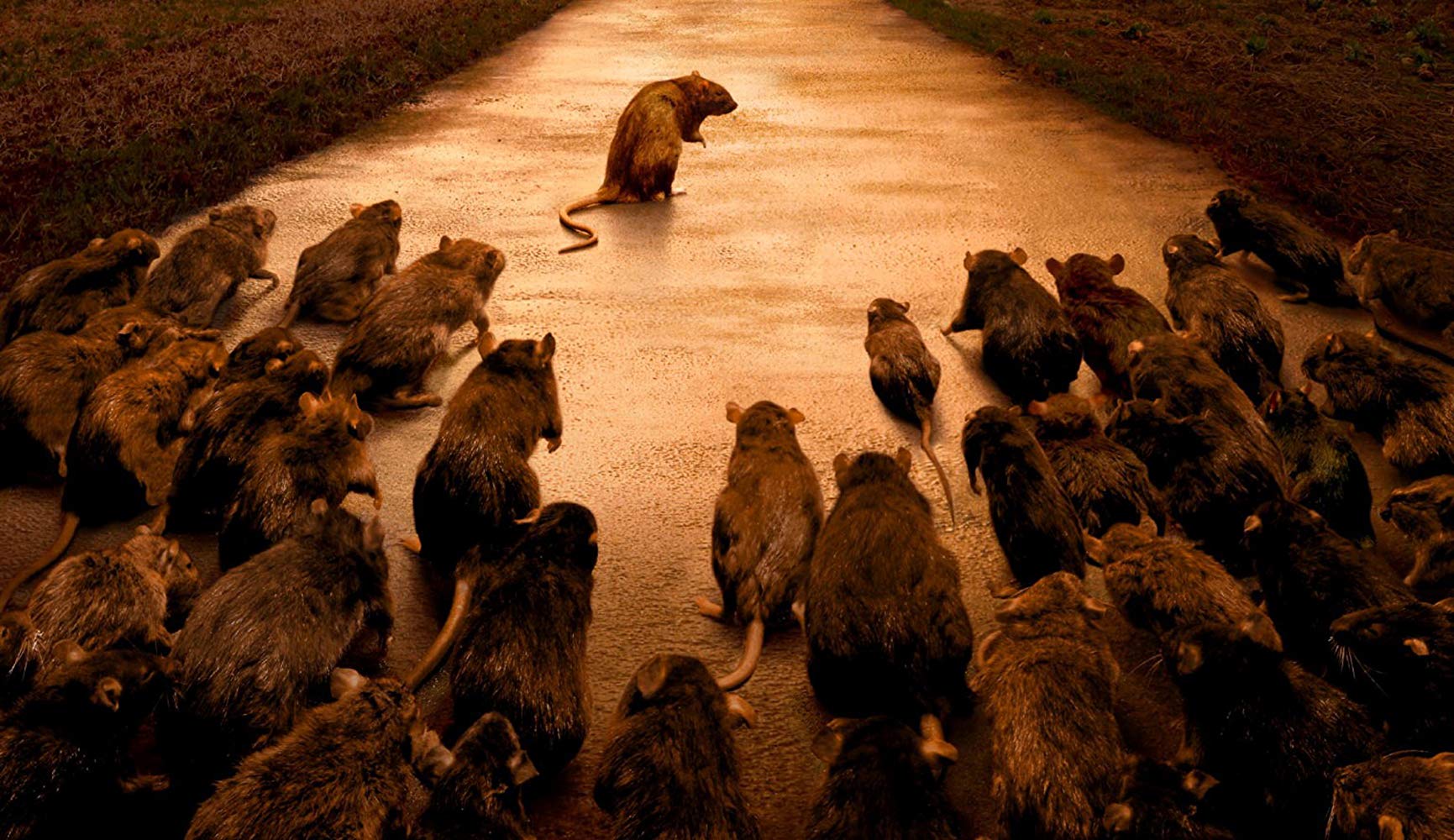 Rats 2 - L'Invasion Finale (2004) 
