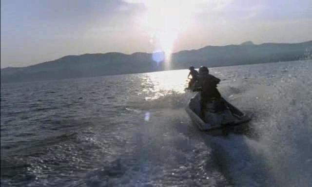 La Chasse Aux Requins Tueurs (2004) 