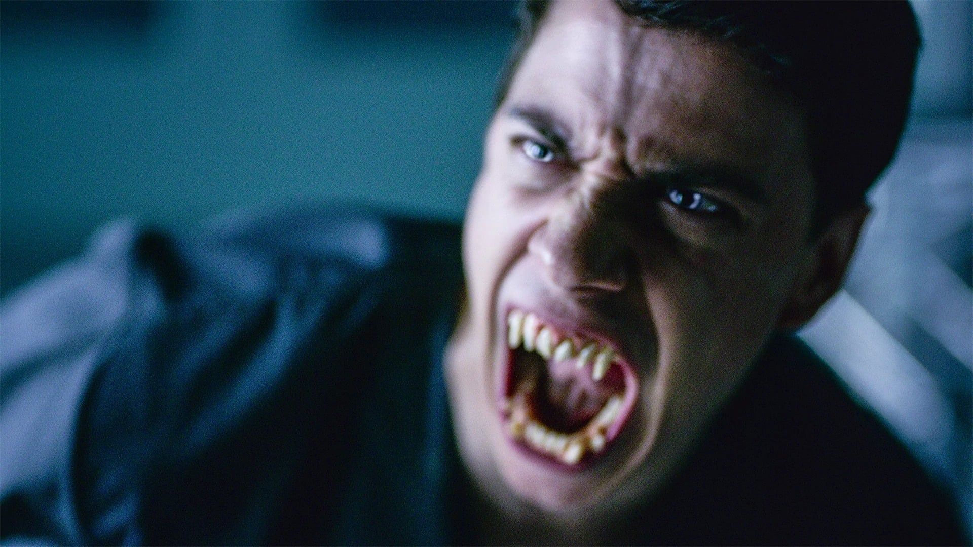The Order - Saison 1 