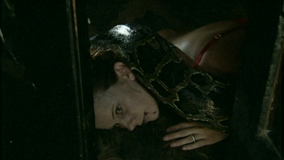 Reptiles (2002)