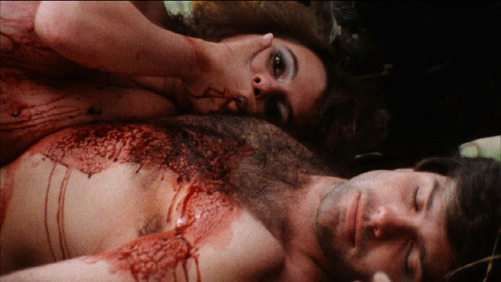 Carnage - The Nail Gun Massacre de Bill Leslie & Terry Lofton - 1985