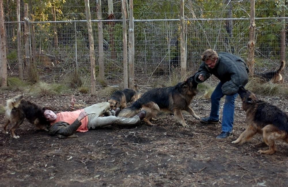 The Breed (2006)