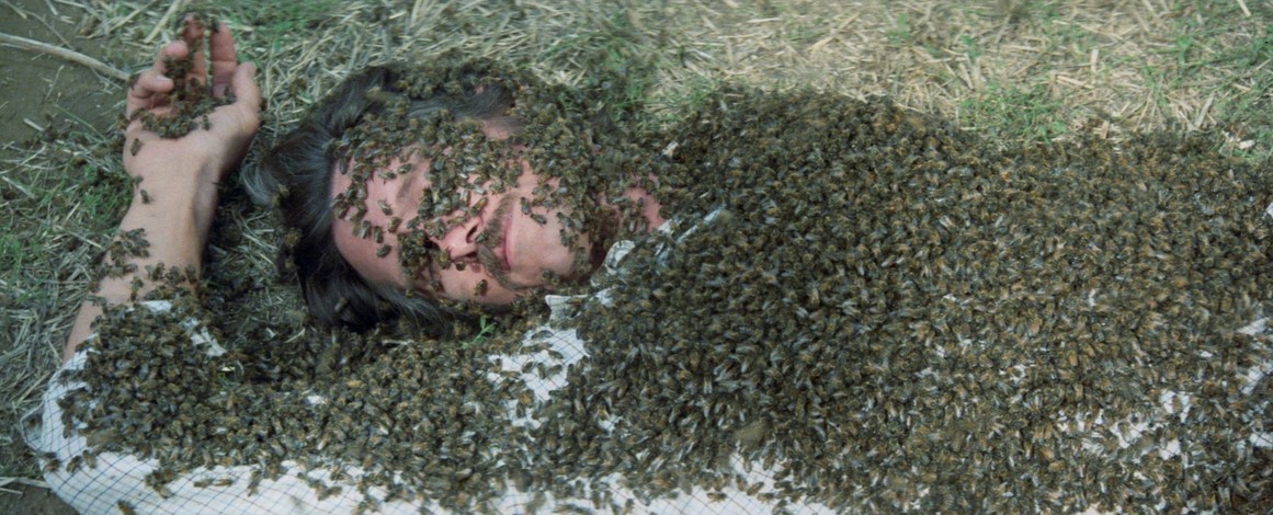 L'Inévitable Catastrophe (1978) 