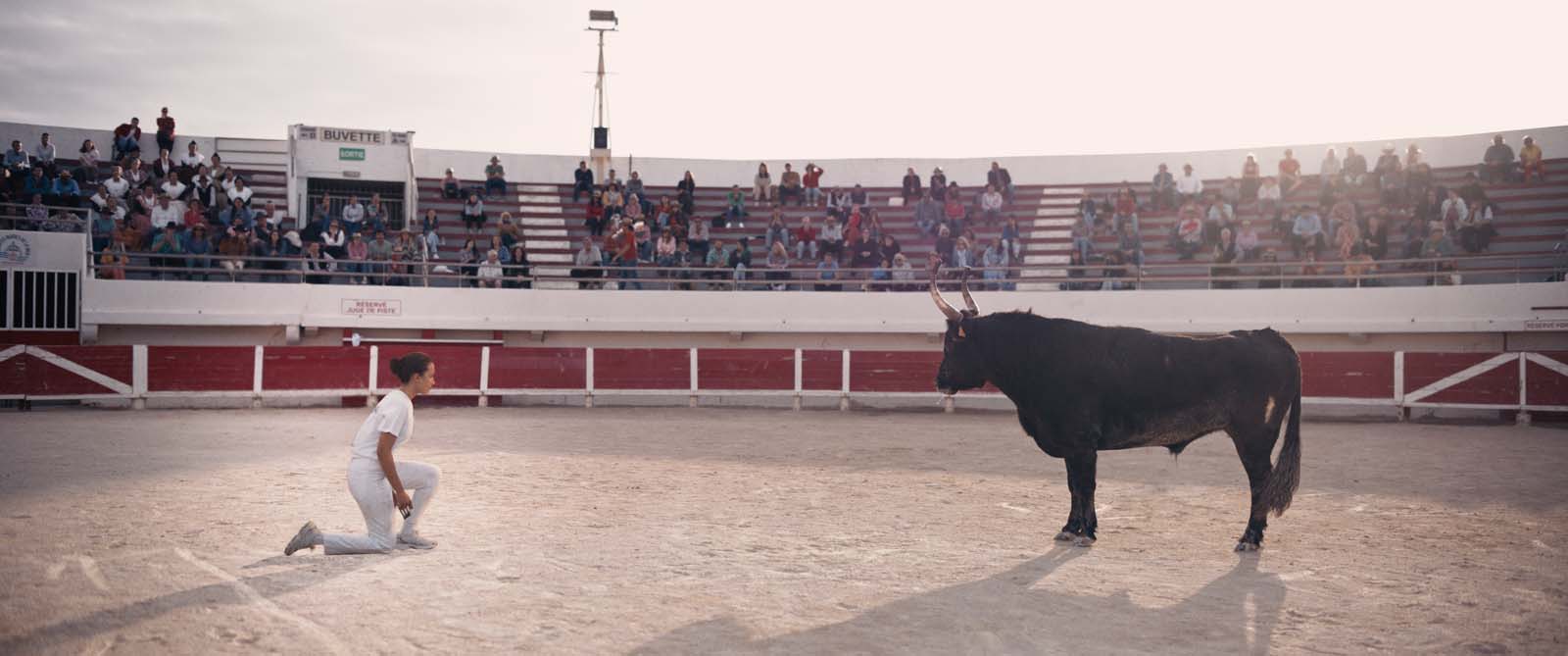 Animale (2024)