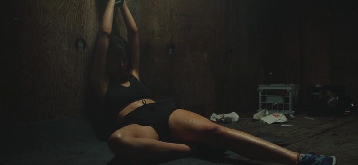 14 Cameras (2018)