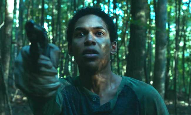 It Comes At Night de Trey Edward Shults - 2017 / Epouvante - Horreur
