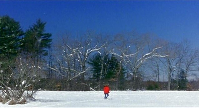 Rouge Sang (2003)