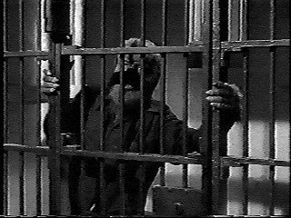 La Maison De Dracula (1945) 