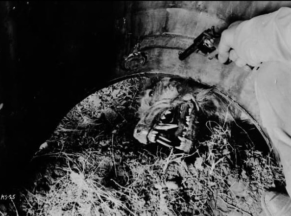 Les Musaraignes Tueuses (1959)