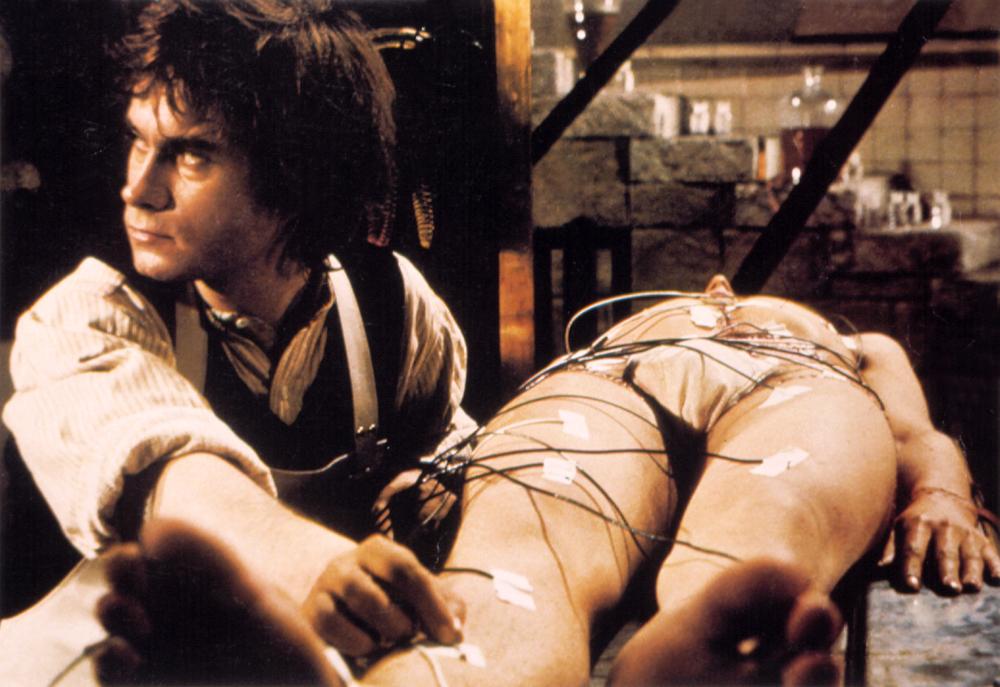 Chair Pour Frankenstein (1973)