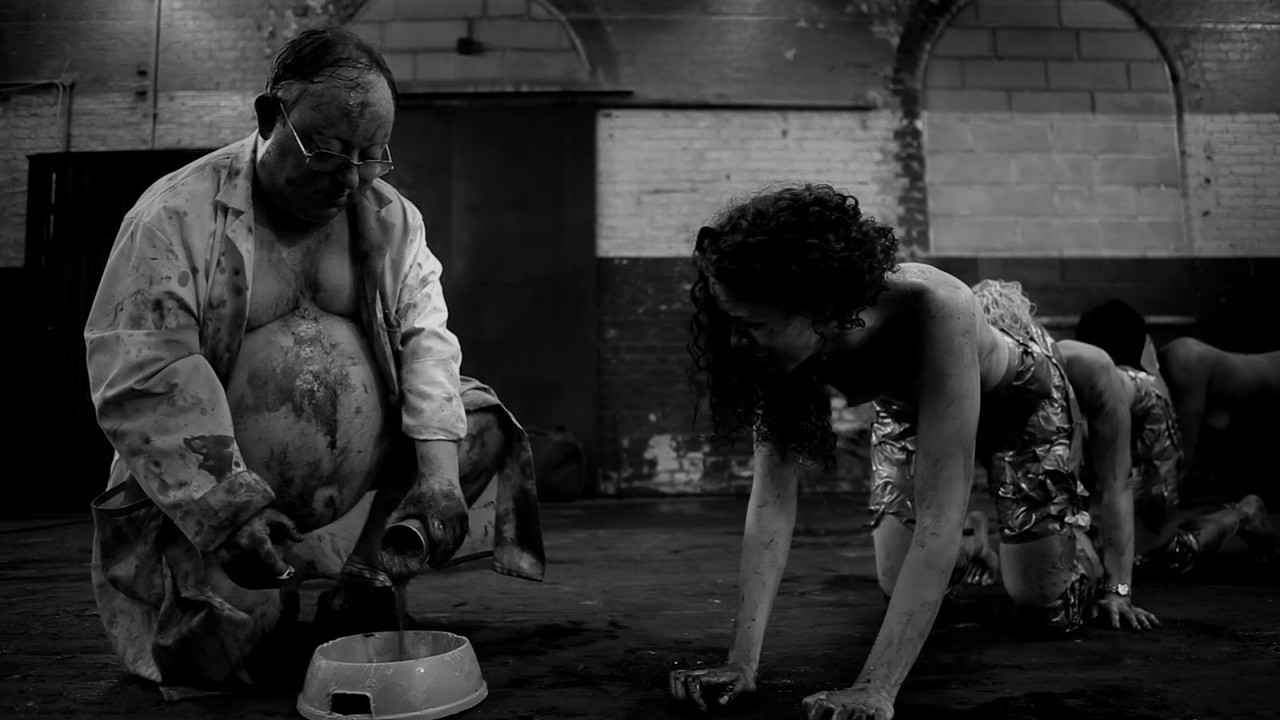 The Human Centipede 2 (2011)