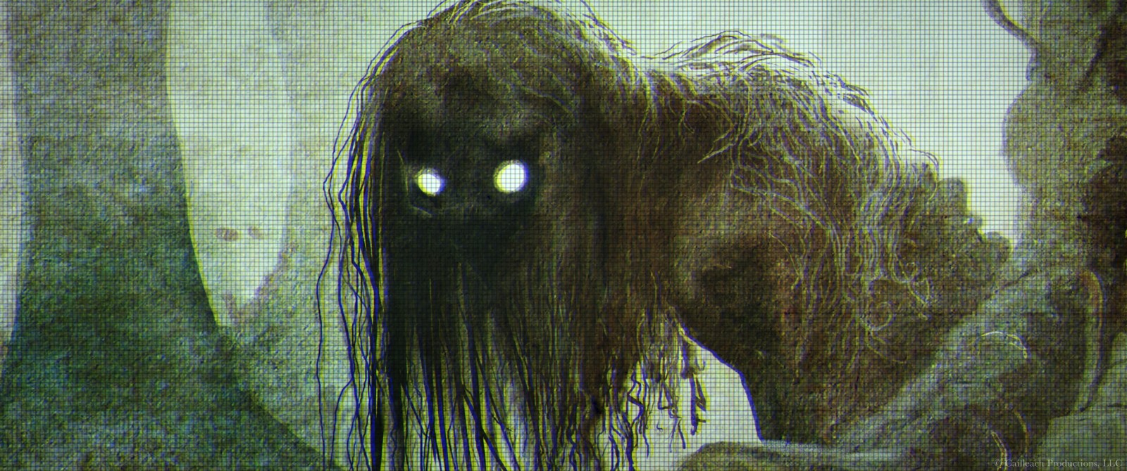 The Wretched (2019)