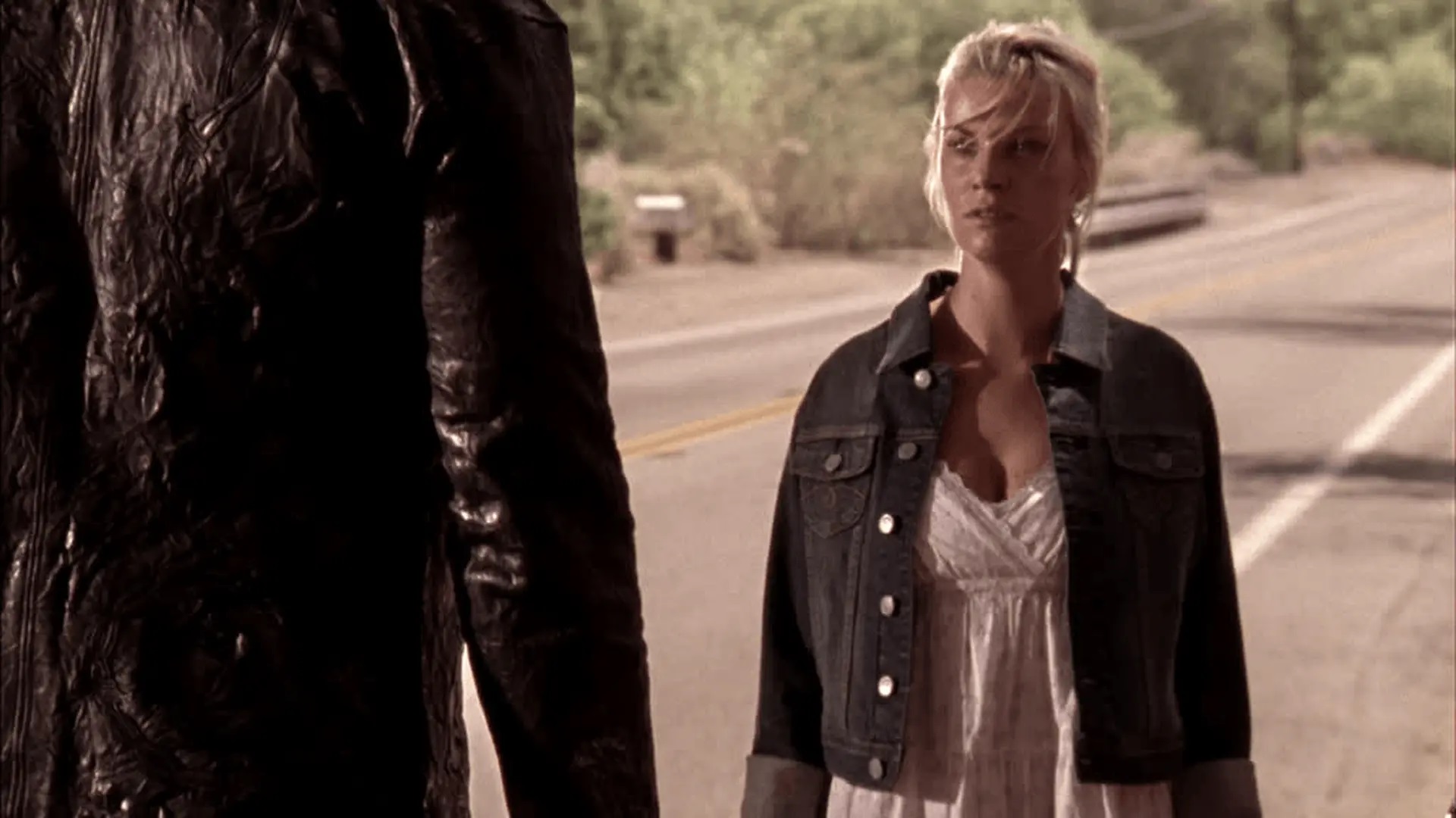 Trailer Park Of Terror (2008)