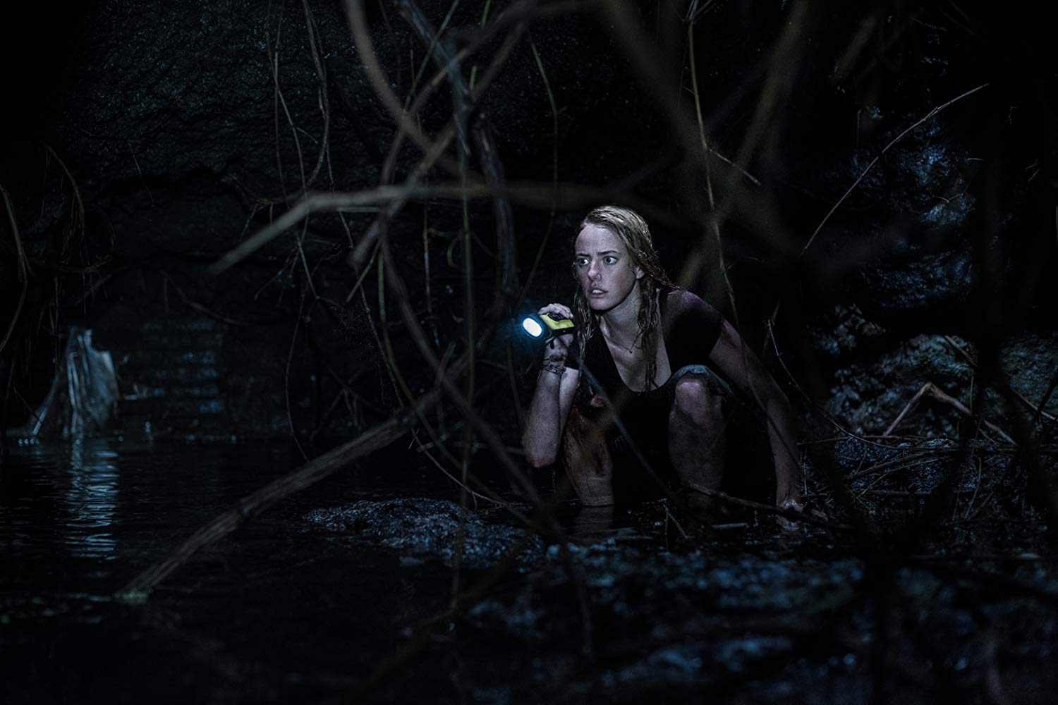 Crawl (2019) 