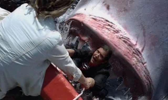 La Chasse Aux Requins Tueurs (2004) 