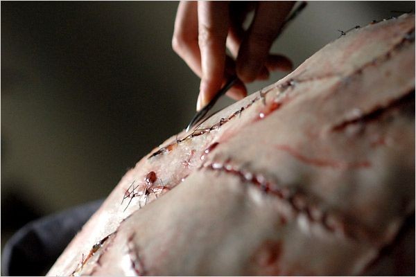 Les Faucheurs (2007)  