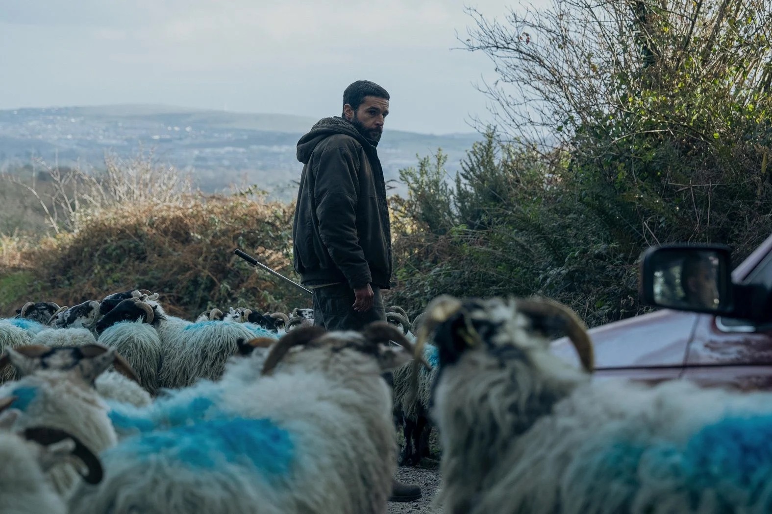 Le Clan des Bêtes (2024)