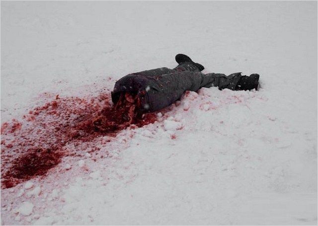 Hypothermia (2010)