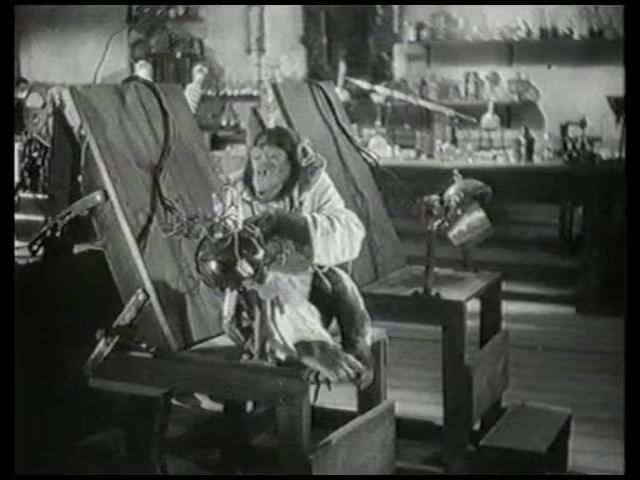 Cerveaux De Rechange (1936)