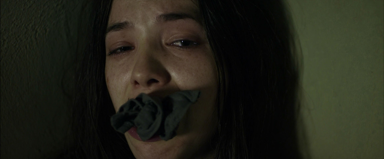 I Spit On Your Grave 2 (2013)