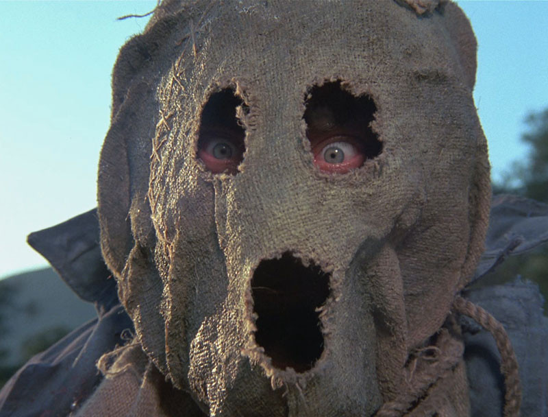 Dark Night Of The Scarecrow de Frank De Felitta - 1981 / Horreur - Slasher