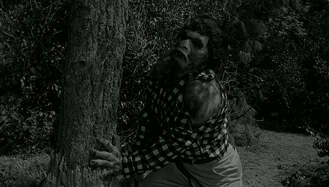 Le Monstre Des Abimes (1958)