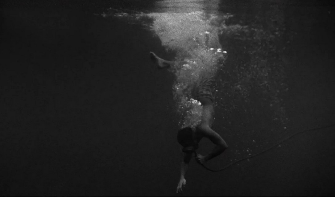 La Créature Est Parmi Nous (1956) 