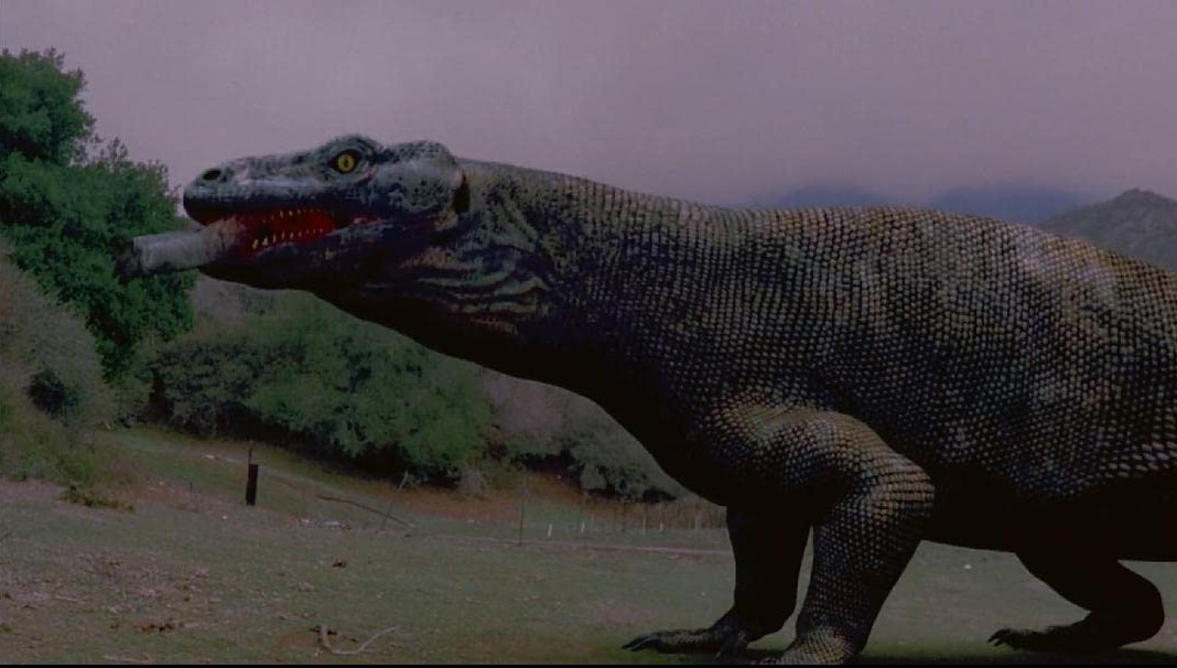 L'Île Des Komodos (2004) 