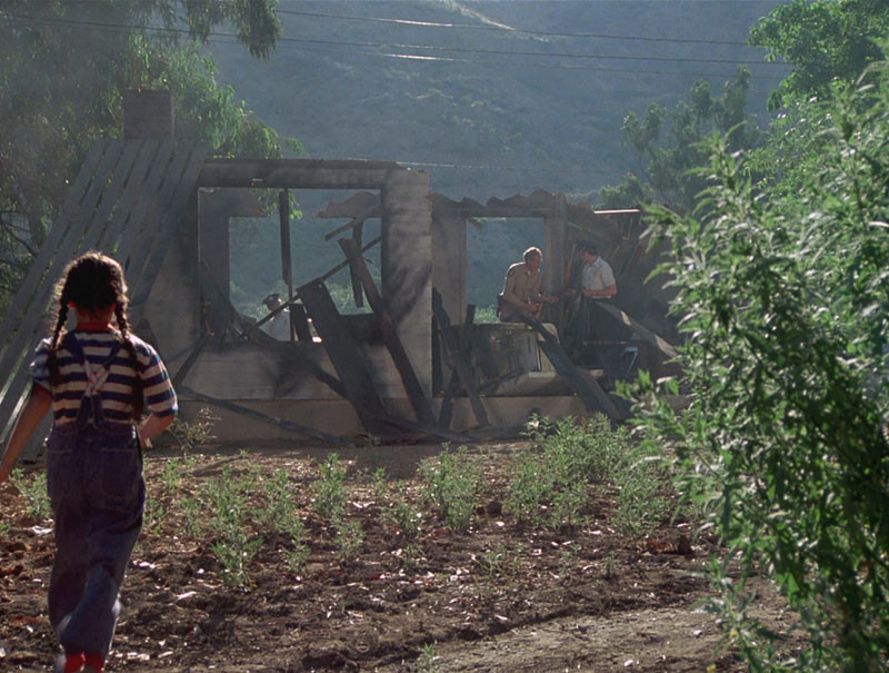 Dark Night Of The Scarecrow de Frank De Felitta - 1981 / Horreur - Slasher