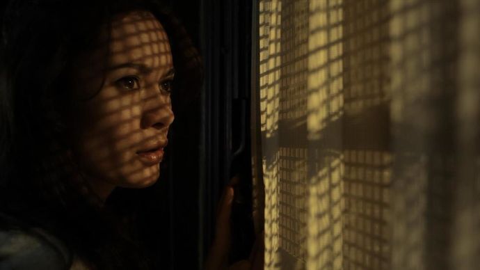 Un Cri Dans La Nuit (2015)