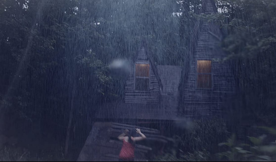 Red Woods (2021) 