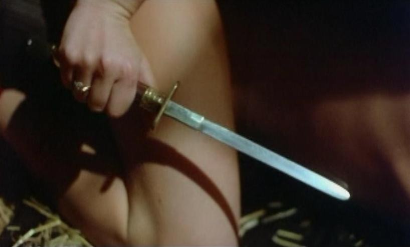 Fascination (1979) 