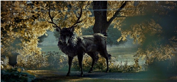 Hannibal - Saison 1 