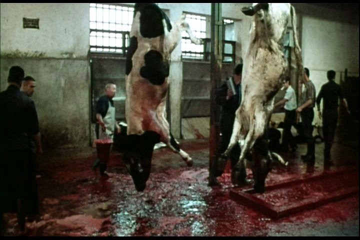 Cannibal Man de Eloy De La Iglesia - 1971