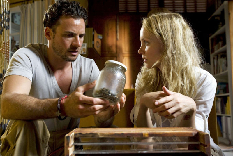 Killer Bees - Les Abeilles Tueuses (2008) 